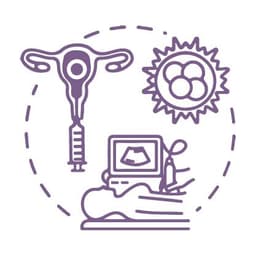 Embryo Transfer Icon