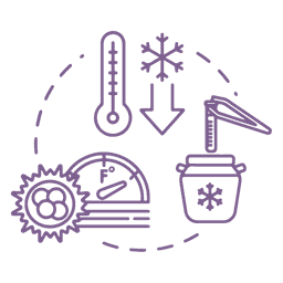 Embryo Selection Icon