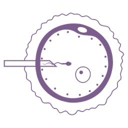 IVF Cycle Icon