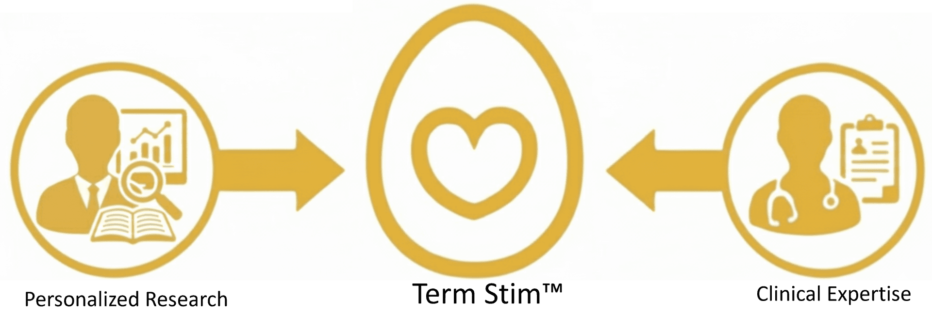 Term Stim diagram showing Personalized Research and Clinical Expertise converging into Term Stim