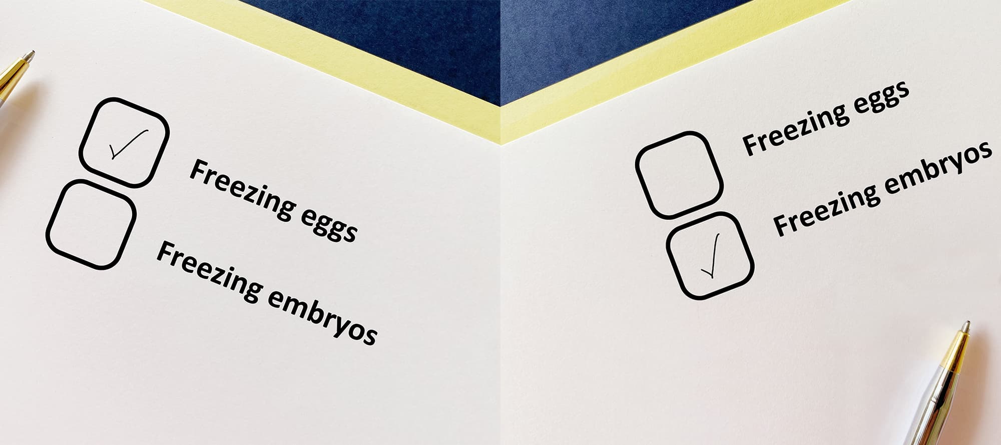 Modern fertility preservation laboratory equipment